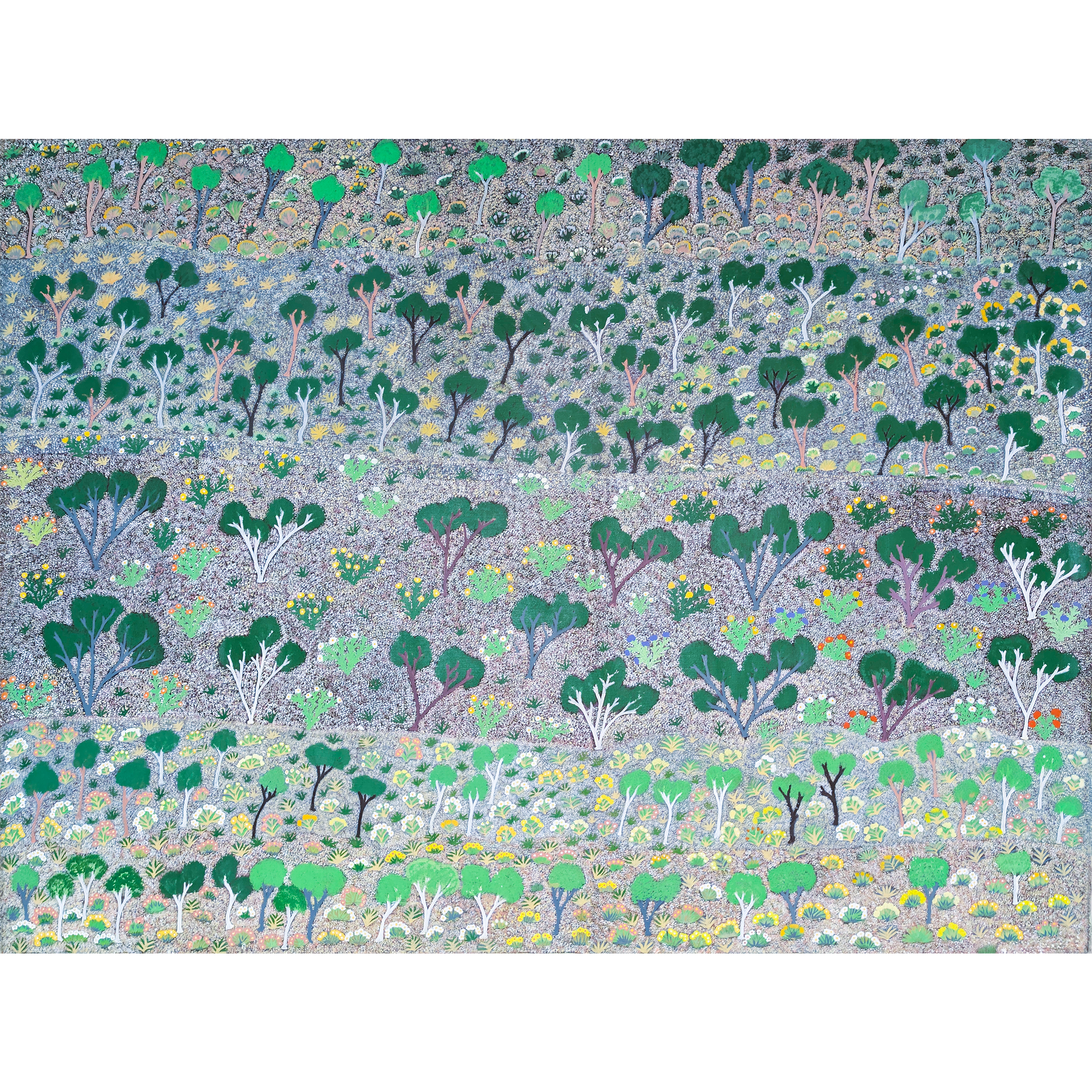 Artist: Lily Morton Kemarre | Title: Ghost gums and bloodwood trees | Year: 2006 | Medium: acrylic on Belgian linen | Dimensions: 137 x 181 cm