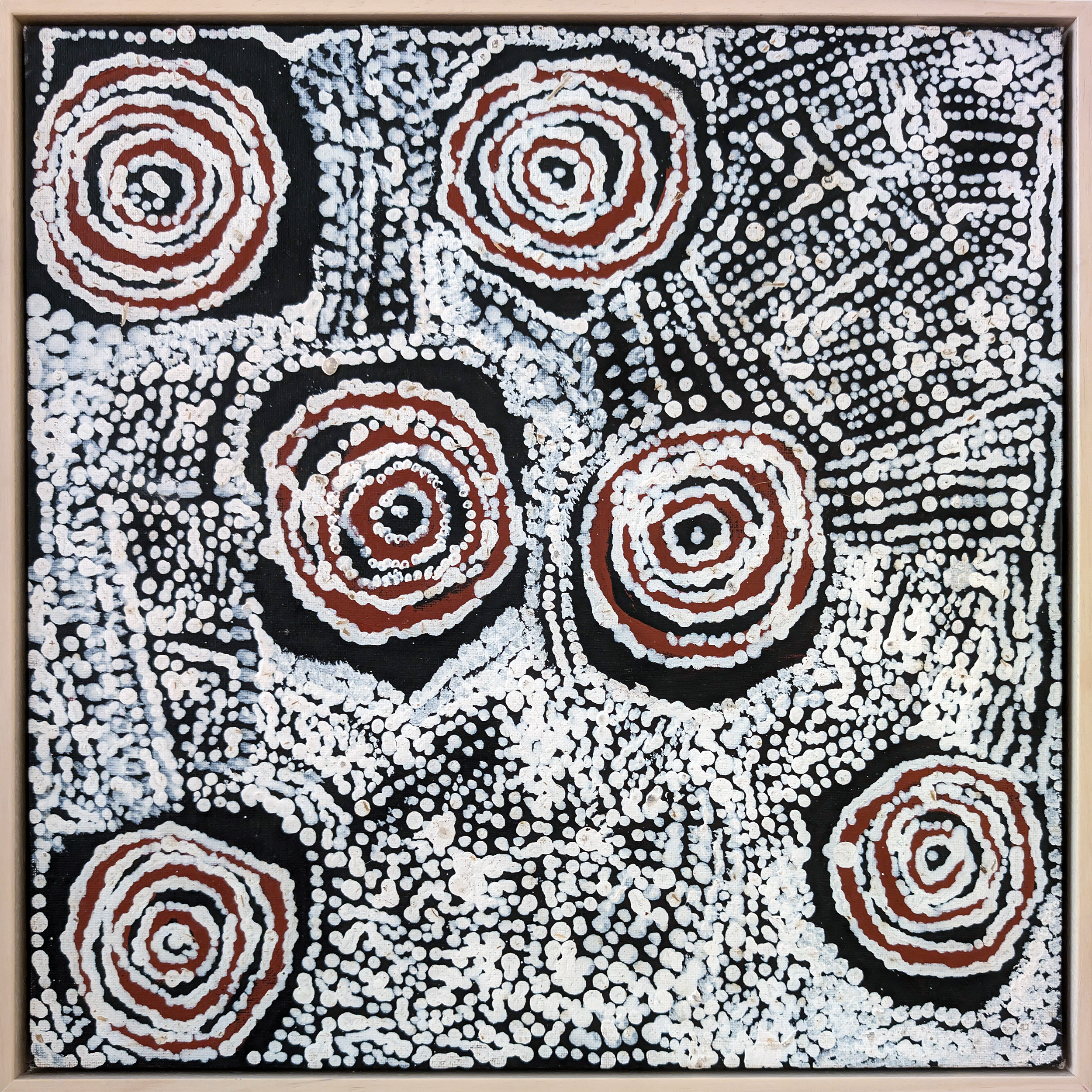 Artist: Bill Whiskey Tjapaltjarri | Title: Untitled | Medium: acrylic on canvas board | Dimensions: 40.6 x 40.6 cm