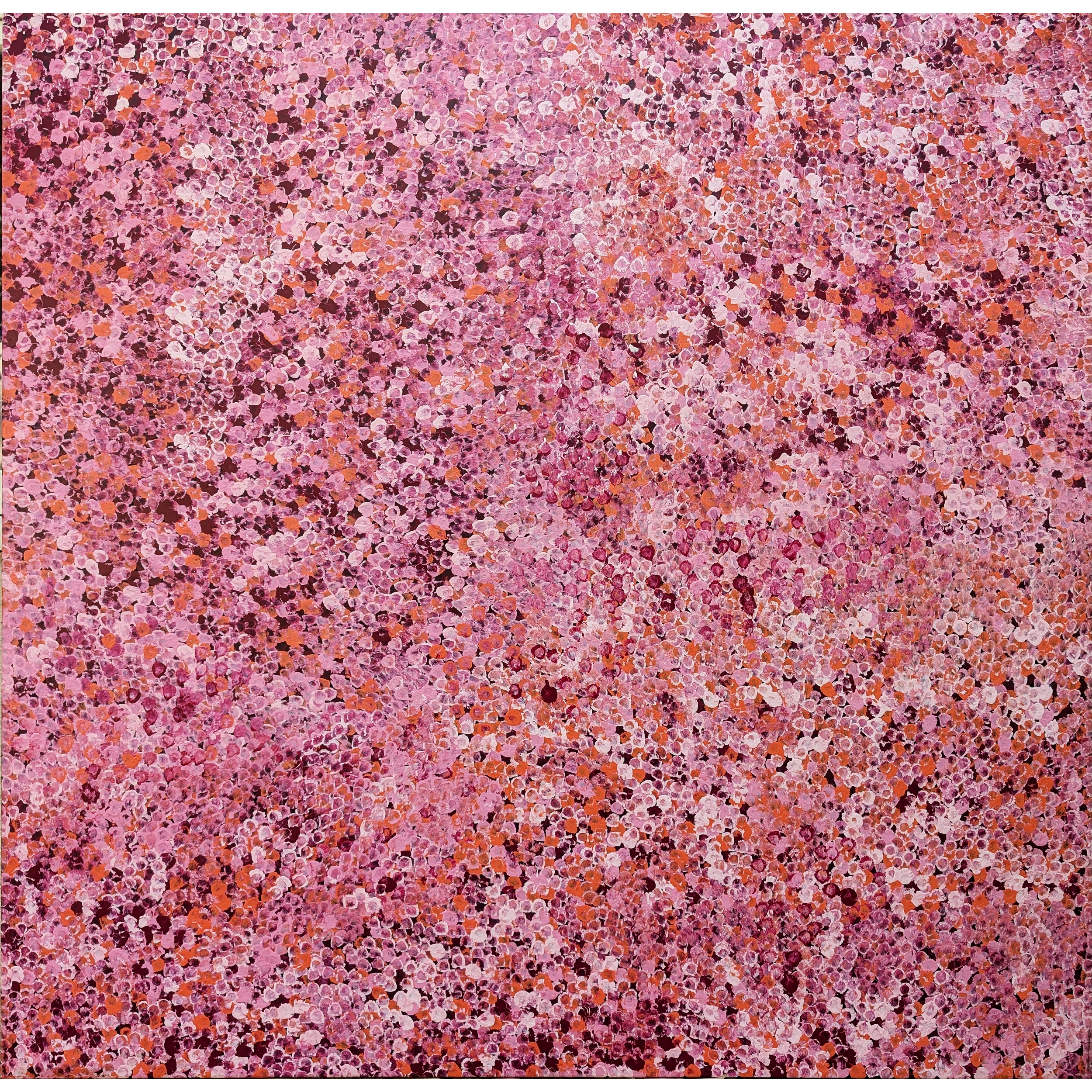 Artist: Belinda Golder Kngwarreye | Title: Bush Plum | Year: 2020 | Medium: synthetic polymer paint on Belgian linen | Dimensions: 150 x 150 cm