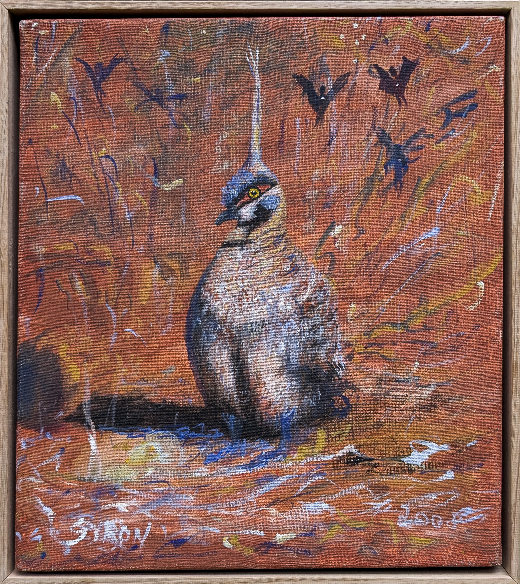 Artist: Gordon Syron |Title: Black fairies + spinifex pigeon |Year: 2008 | Medium: oil on canvas | Dimensions: 46 x 40 cm; 48 x 44 cm frame