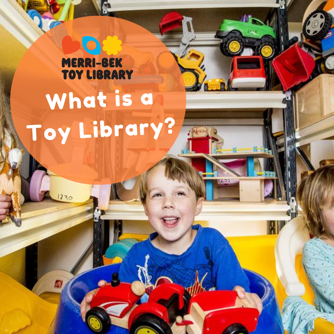 What is a Toy Library?