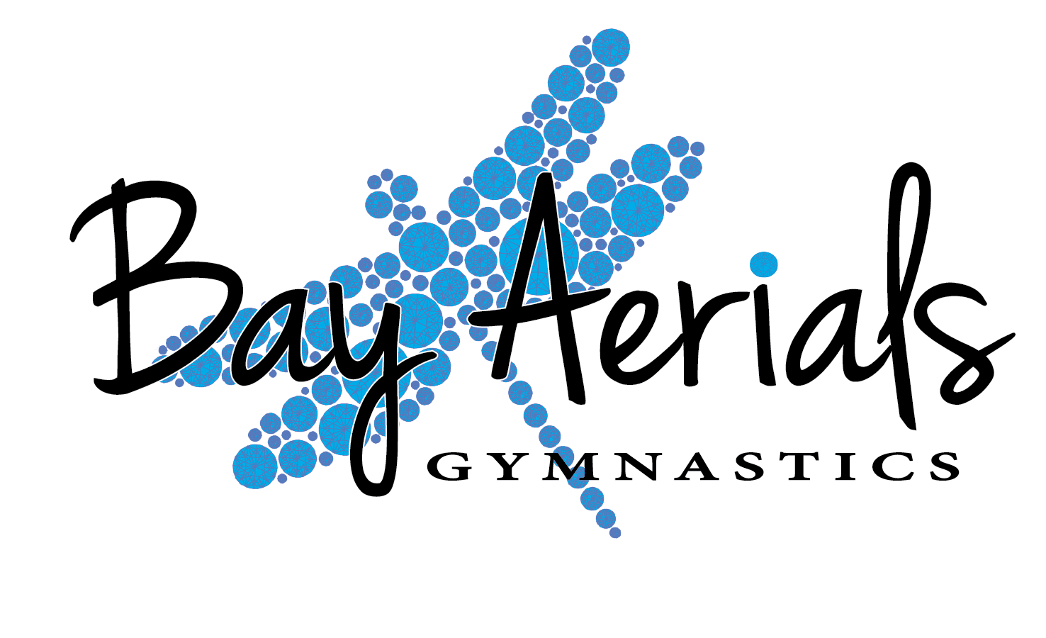 Bay Aerials Gymnastics