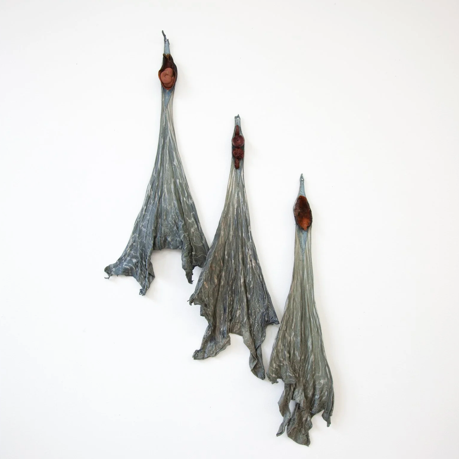 Witchgrass