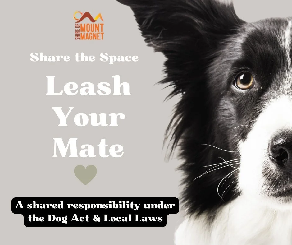 "Share the Space Leash Your Mate"

Dogs must be on a leash in public, except in designated, signposted off-leash areas. Keep an eye out for Mount Magnet Signage to be installed soon.

Proper leashing 
&bull; Keeps pets safe from traffic
&bu