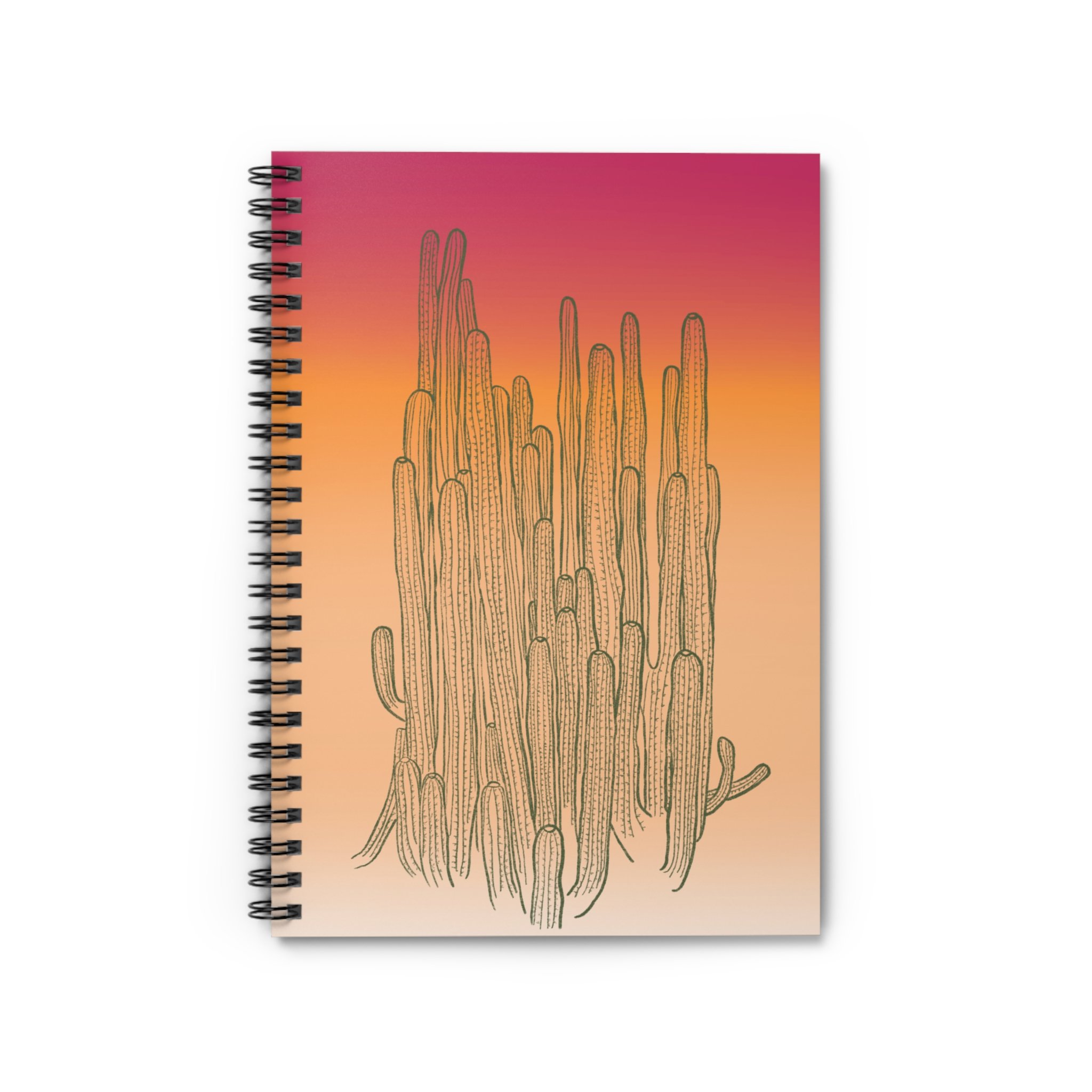 ombrecactusparty.png