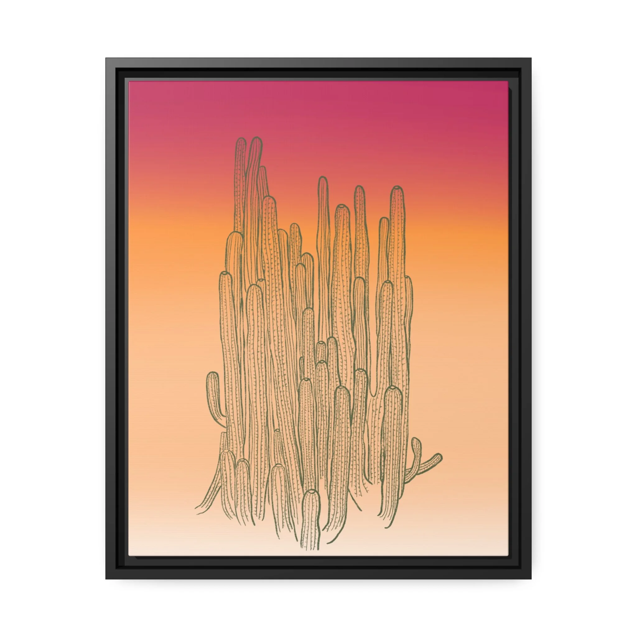 ombrecactus.png