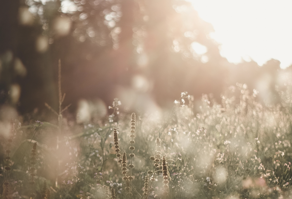 Breathscapes: Deep Dive with Amy Shearer