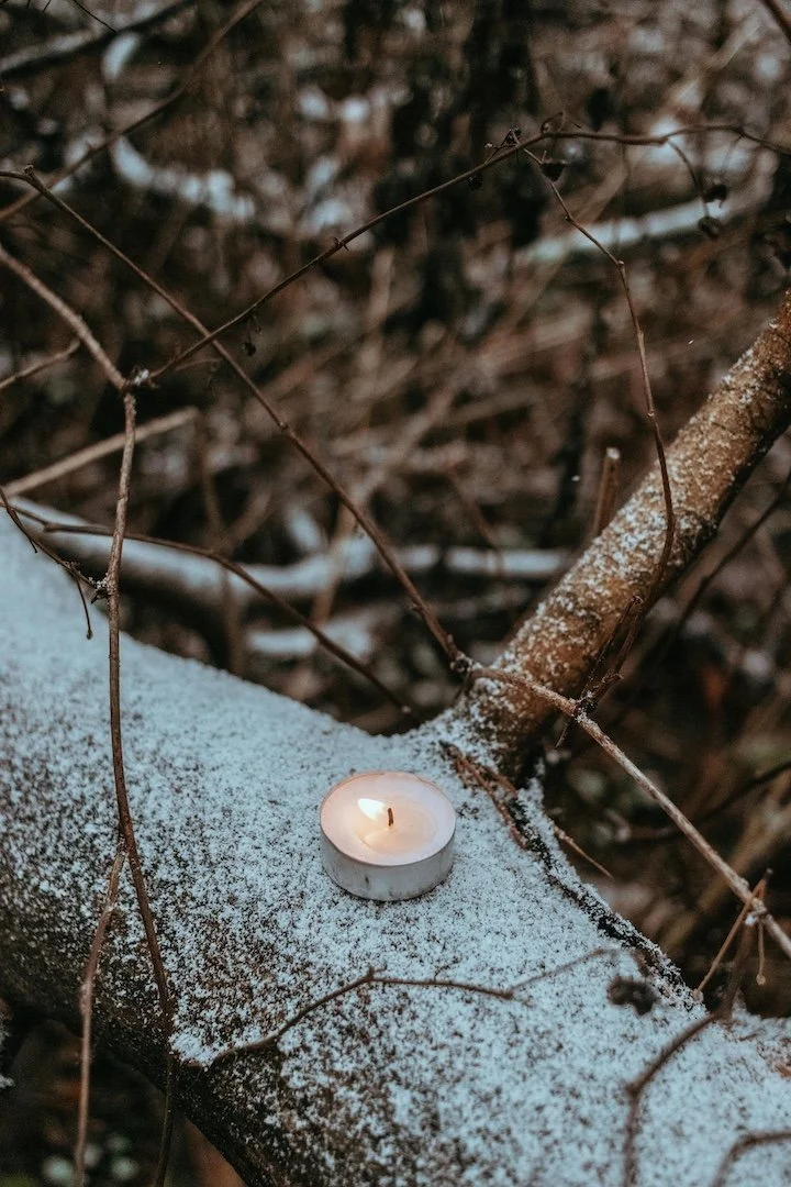 Pause | A Winter Solstice Celebration with Issa Marcantoni Rosa, Melissa officinalis, &amp; Elana Kaufman