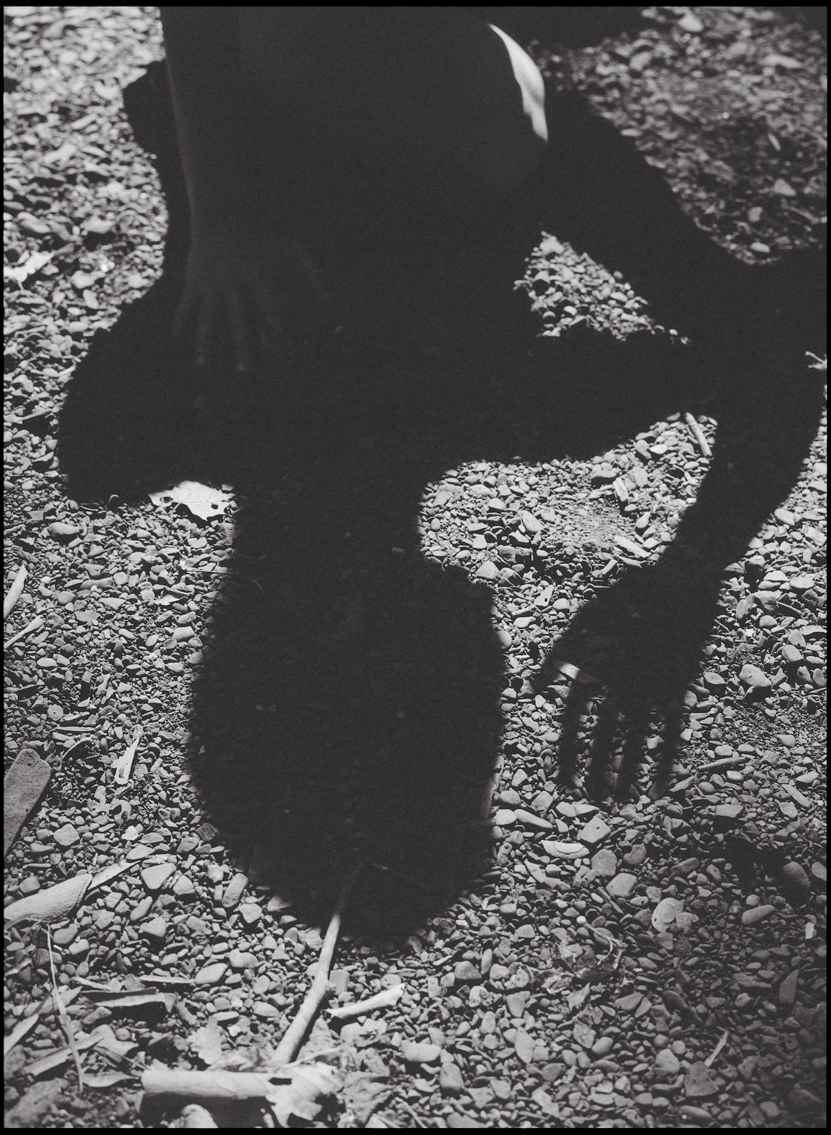 Body Intelligence Workshop // Somatic Strength and Mobility: FASCIA FOCUS with Marianna McClellan