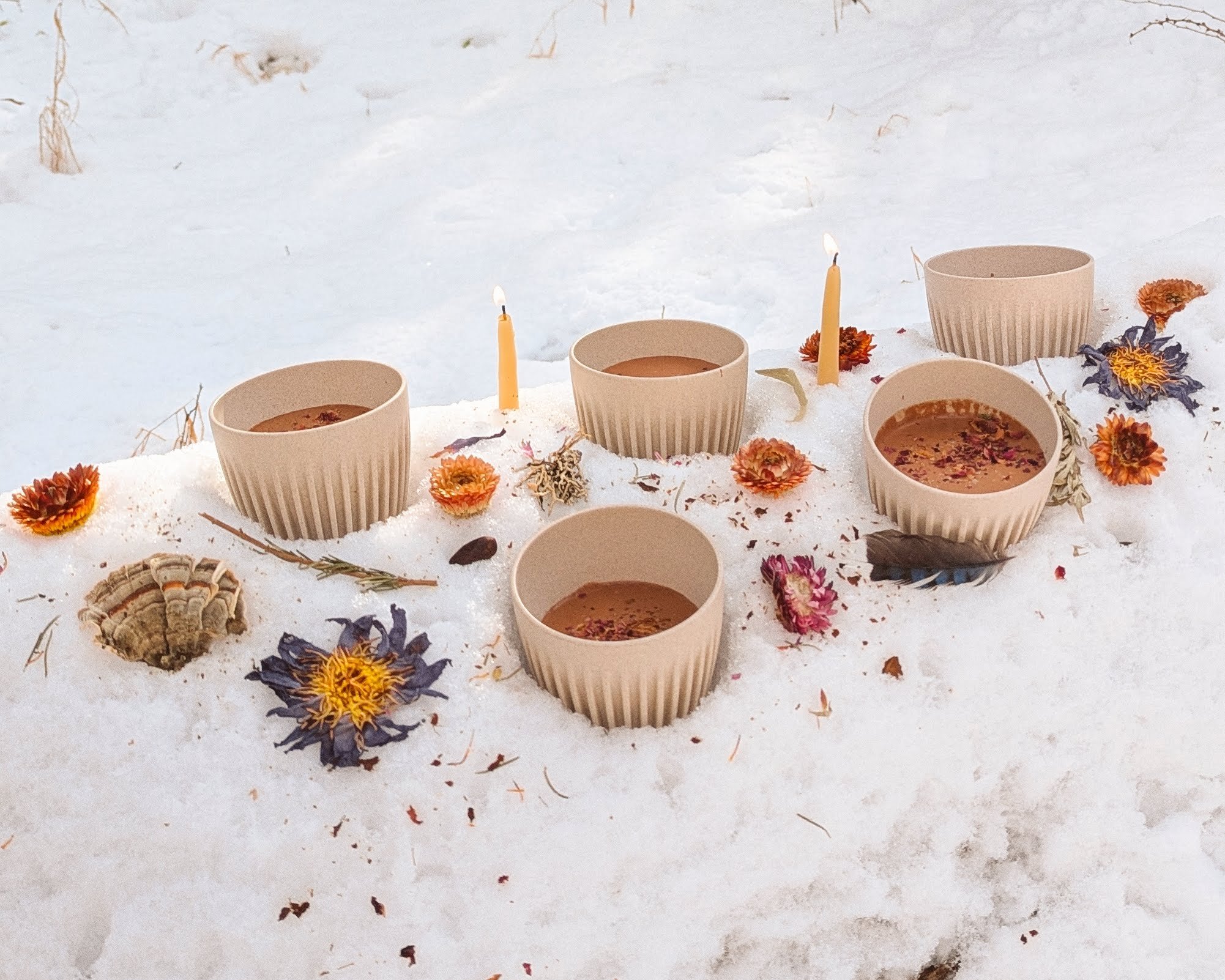 A Plant Meditation with Ceremonial Cacao with Caro Arévalo