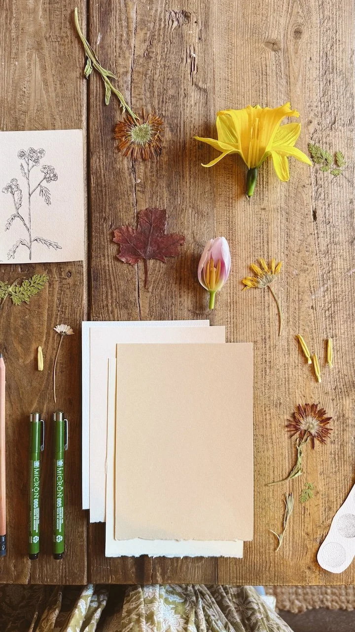 Botanical Drawing Workshop with Caro Arévalo