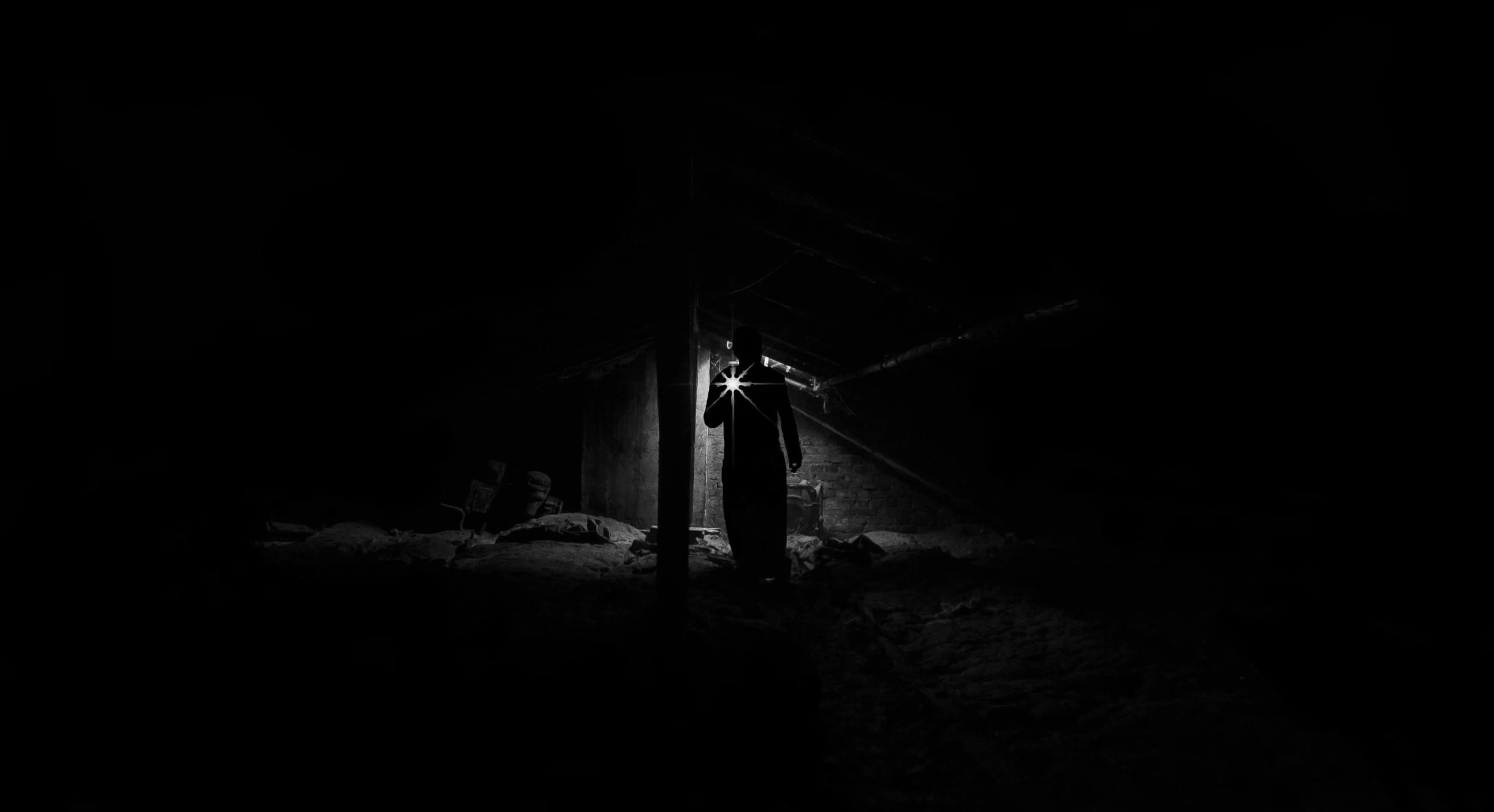 The search for cryptids is fun, but no one has ever found one!