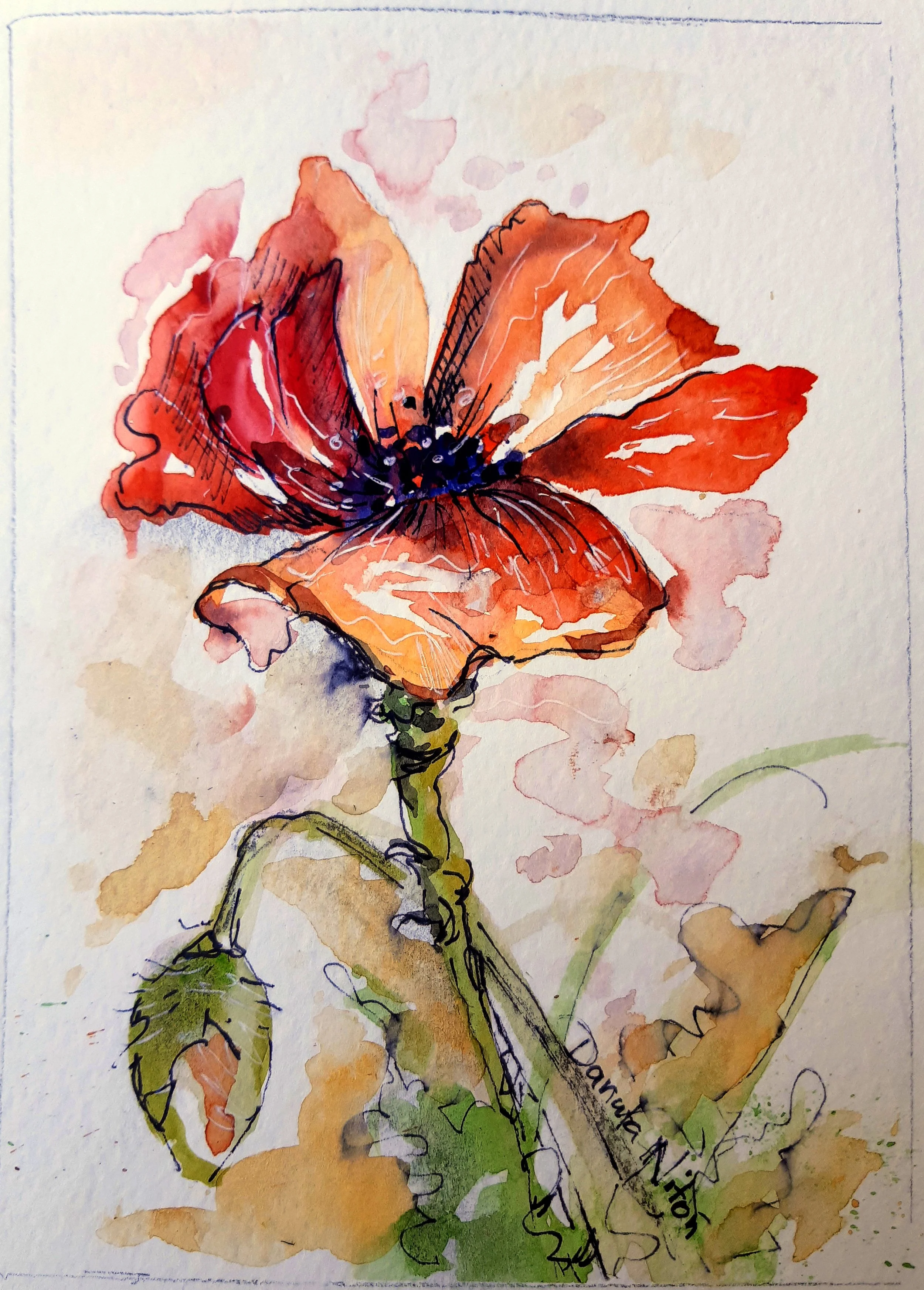 Poppy 2019 - 1.jpg