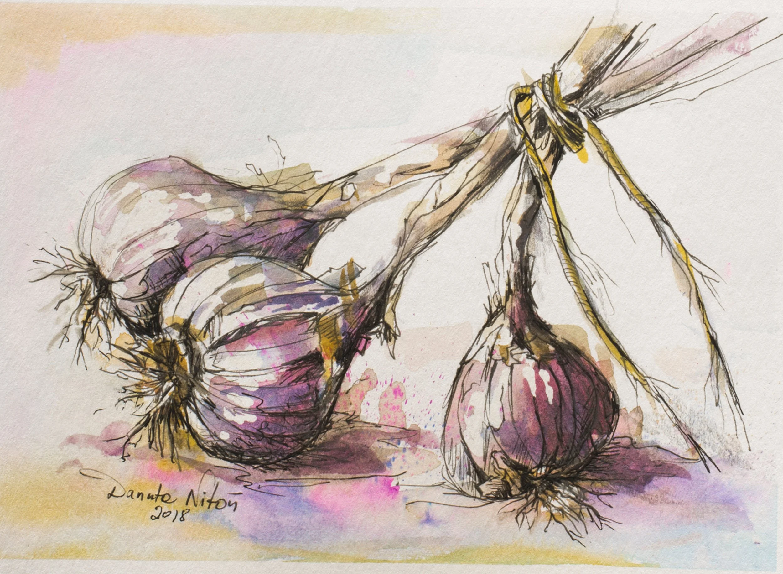 Garlic - Watercolour Sold. Prints available