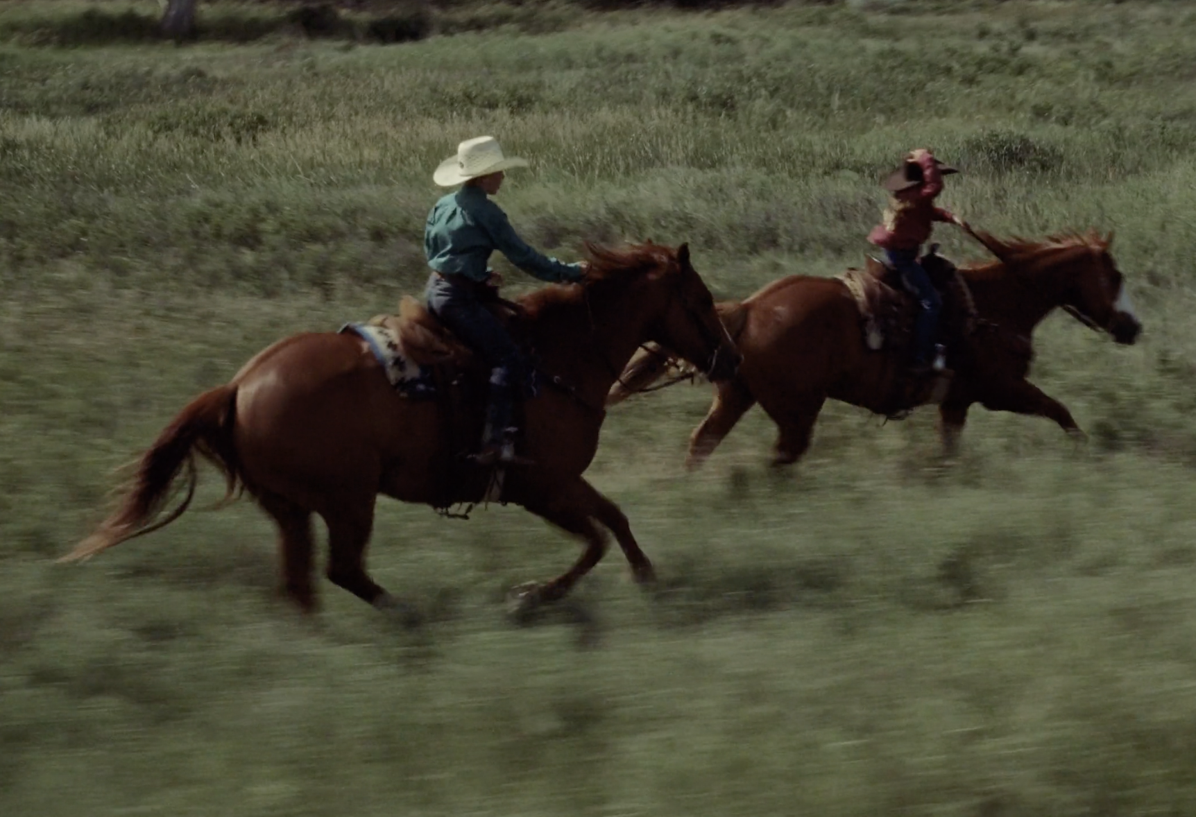 Screenshot 2026-02-11 at 4.01.00 PM.png