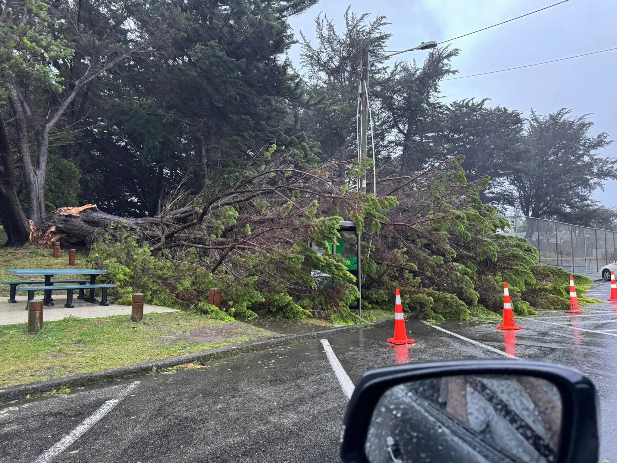 On Tutere Street, Waikanae Beach. Photo by Kate Morgan