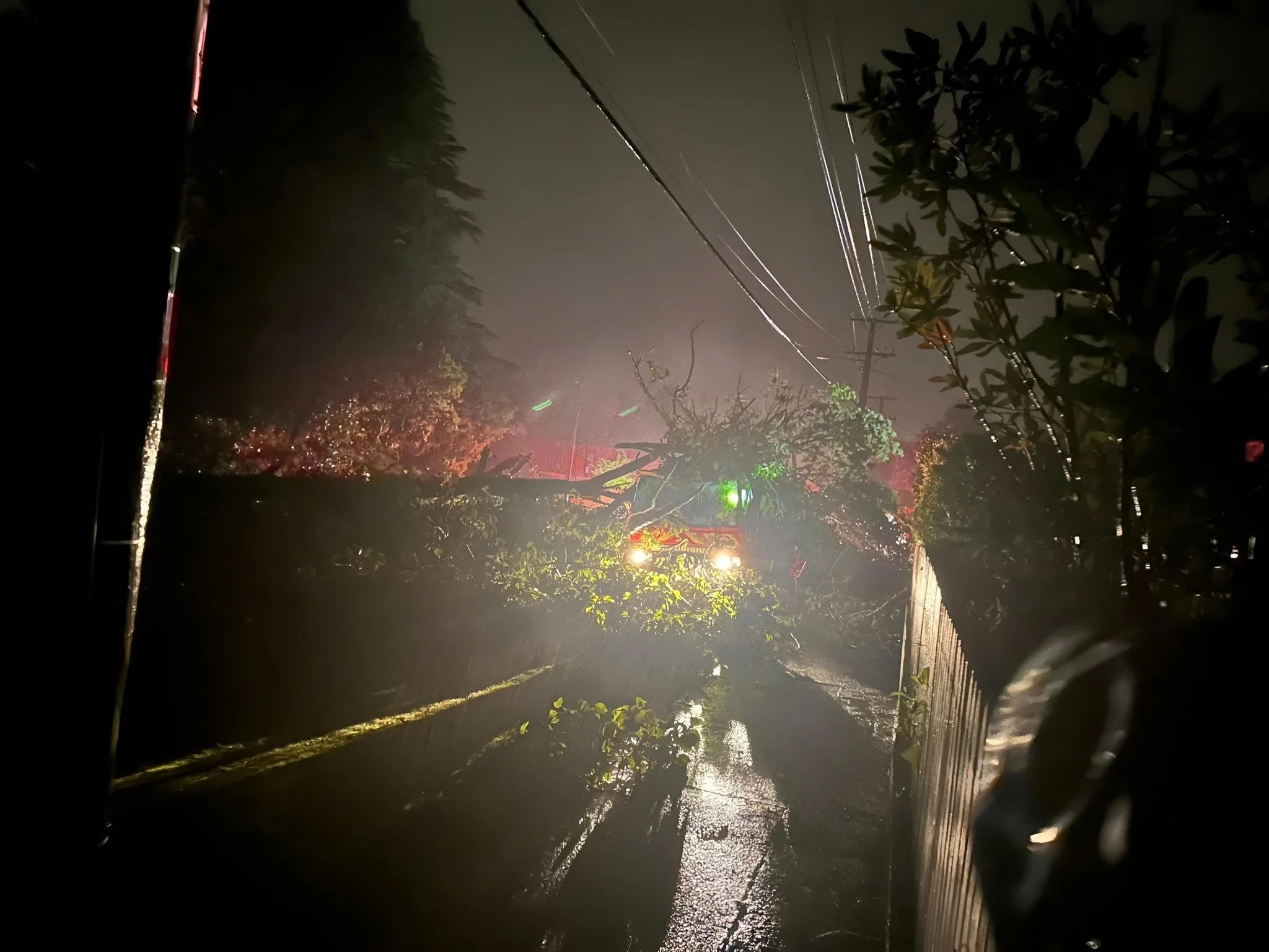 Sunday night in Stokes Valley. Fire truck struck by a falling tree at the top end of the valley, all crew were fine. Photo by David McCulloch