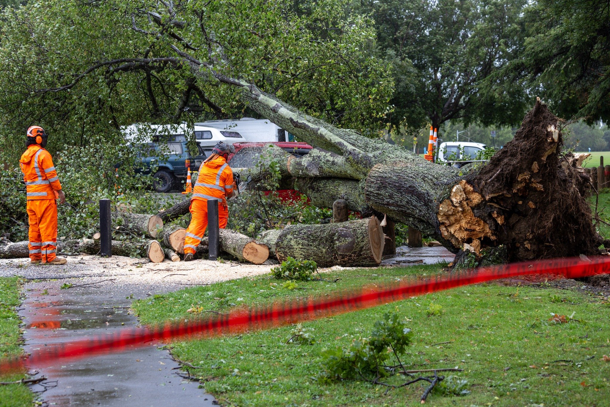 Contractors at Carrington Park in Carterton dealing to a tree that had fallen in the strong winds. Photo by Wairarapa Times Age