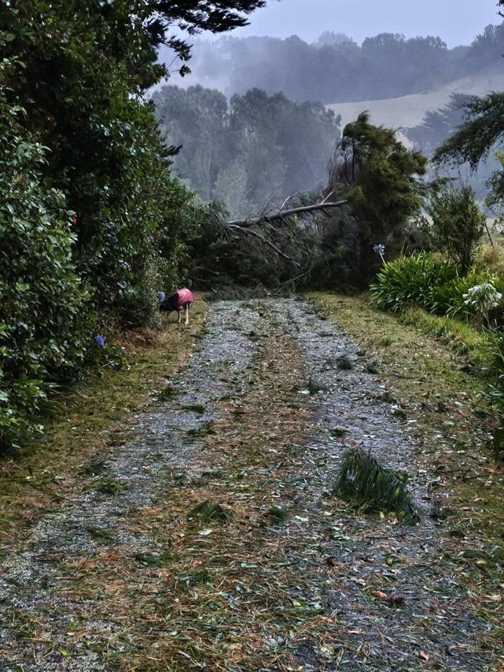 Lisa Scott's driveway in Judgeford, Pauatahanui