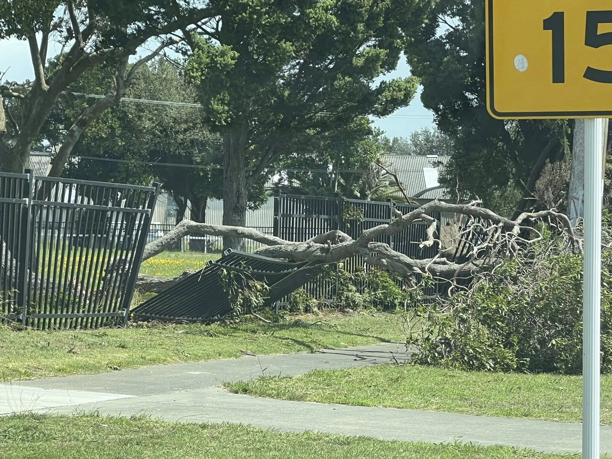 A tree destroyed a fence in Foxton. Photo by Darryl Butler