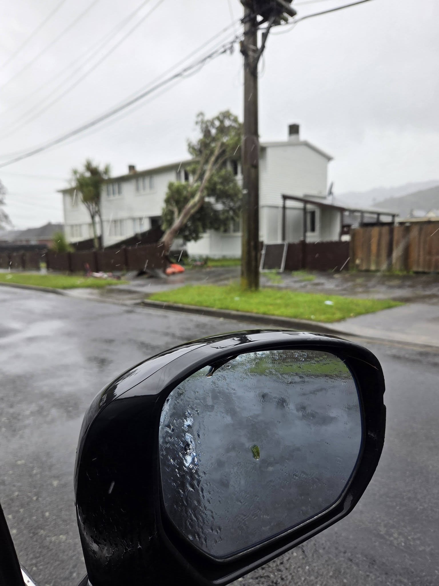 Bird Grove, Stokes Valley. Photo by Sharron Robins