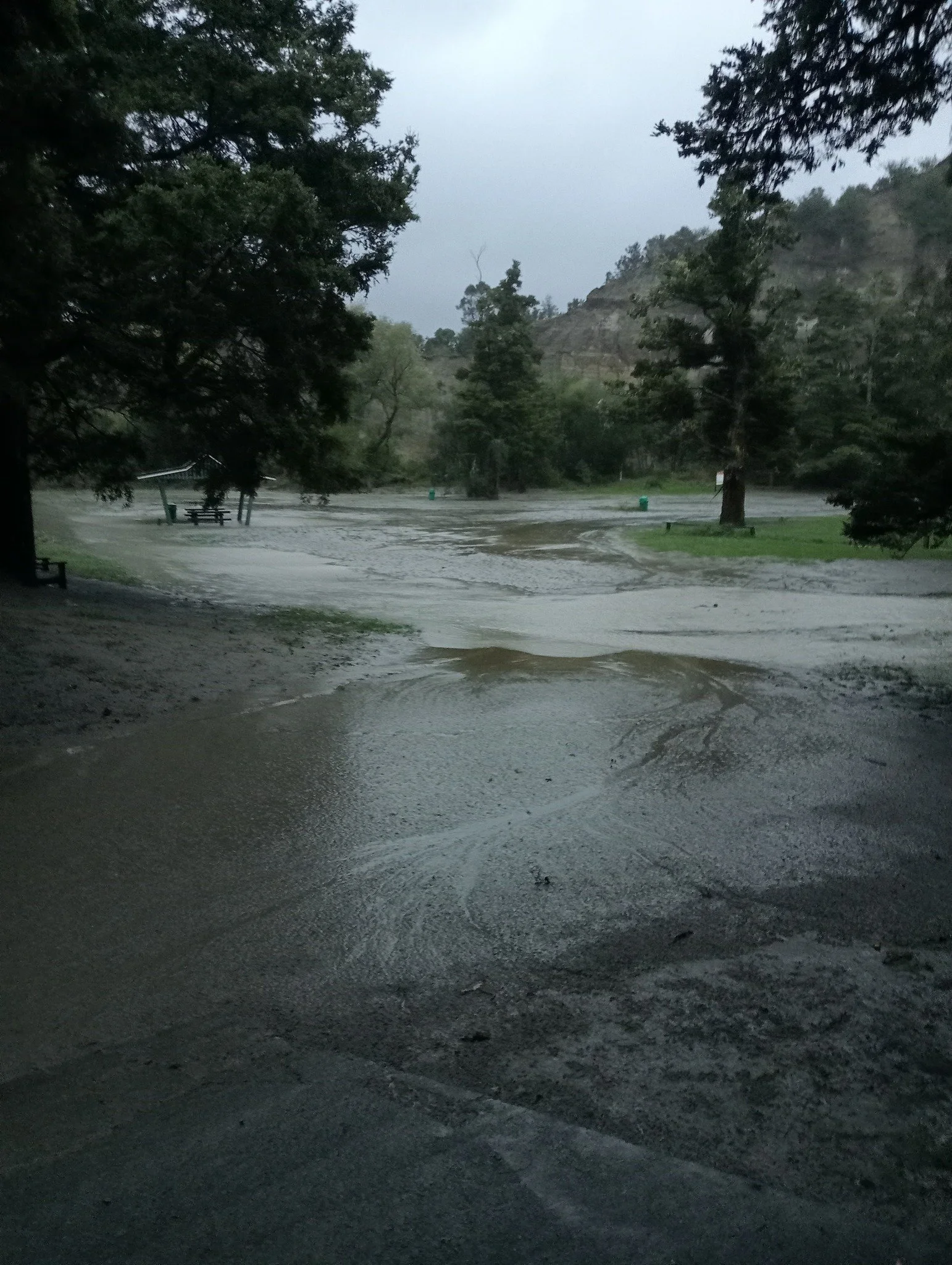 Flooding hit the Totara Reserve Regional Park in Hutt Valley and is closed til further notice