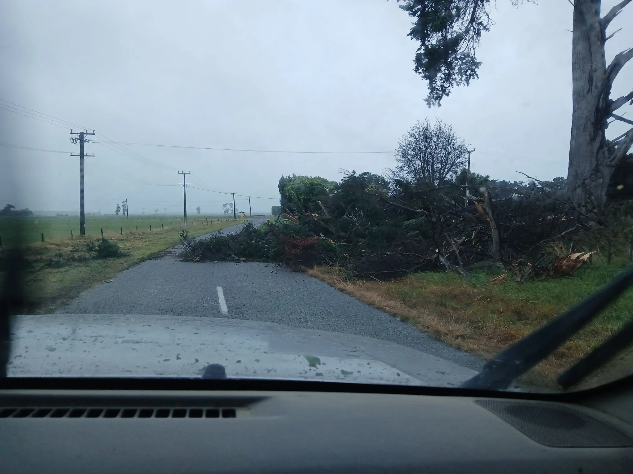 Ridge Road in Foxton. Photo by Staci Kreegher