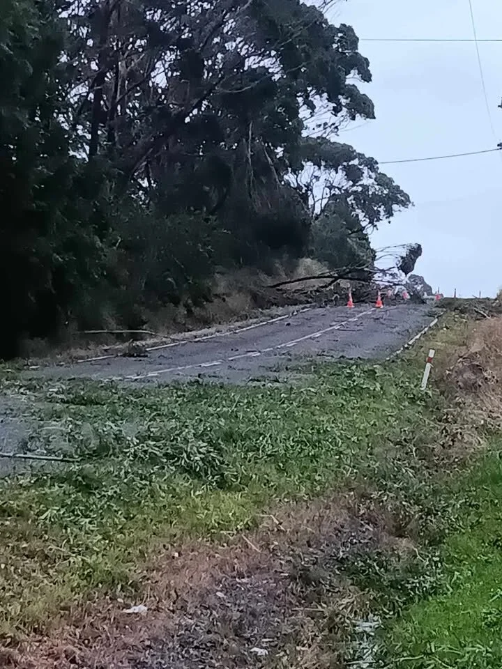 Taipo Road, Rongotea is closed due to fallen trees. Photo by Shah Willoughby