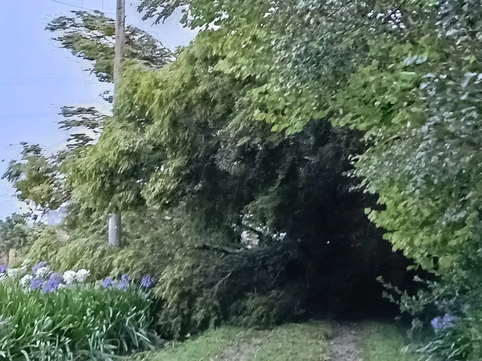 Milner Road has been smashed. Photo from Lynaire Cottle