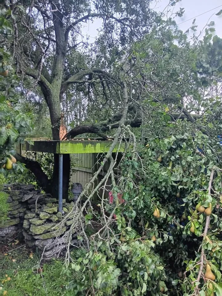 Taipo Road, Rongotea. Photo by Shah Willoughby