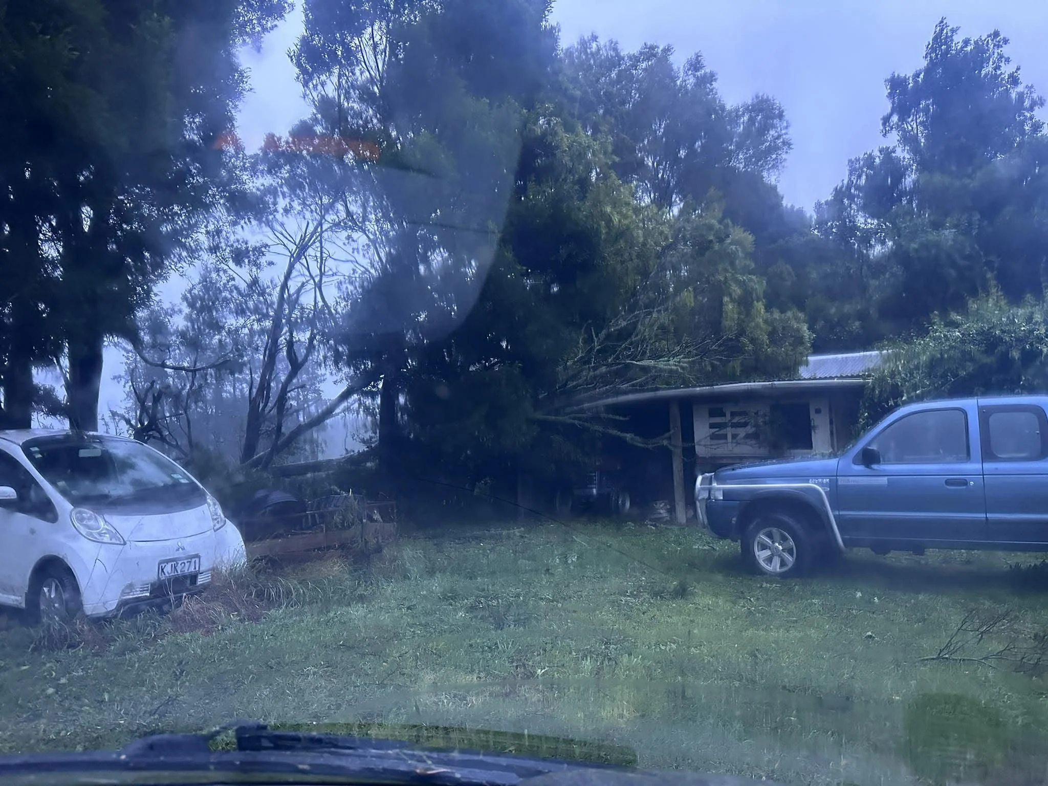 Trees on building, rural Masterton. Photo Tina Nixon
