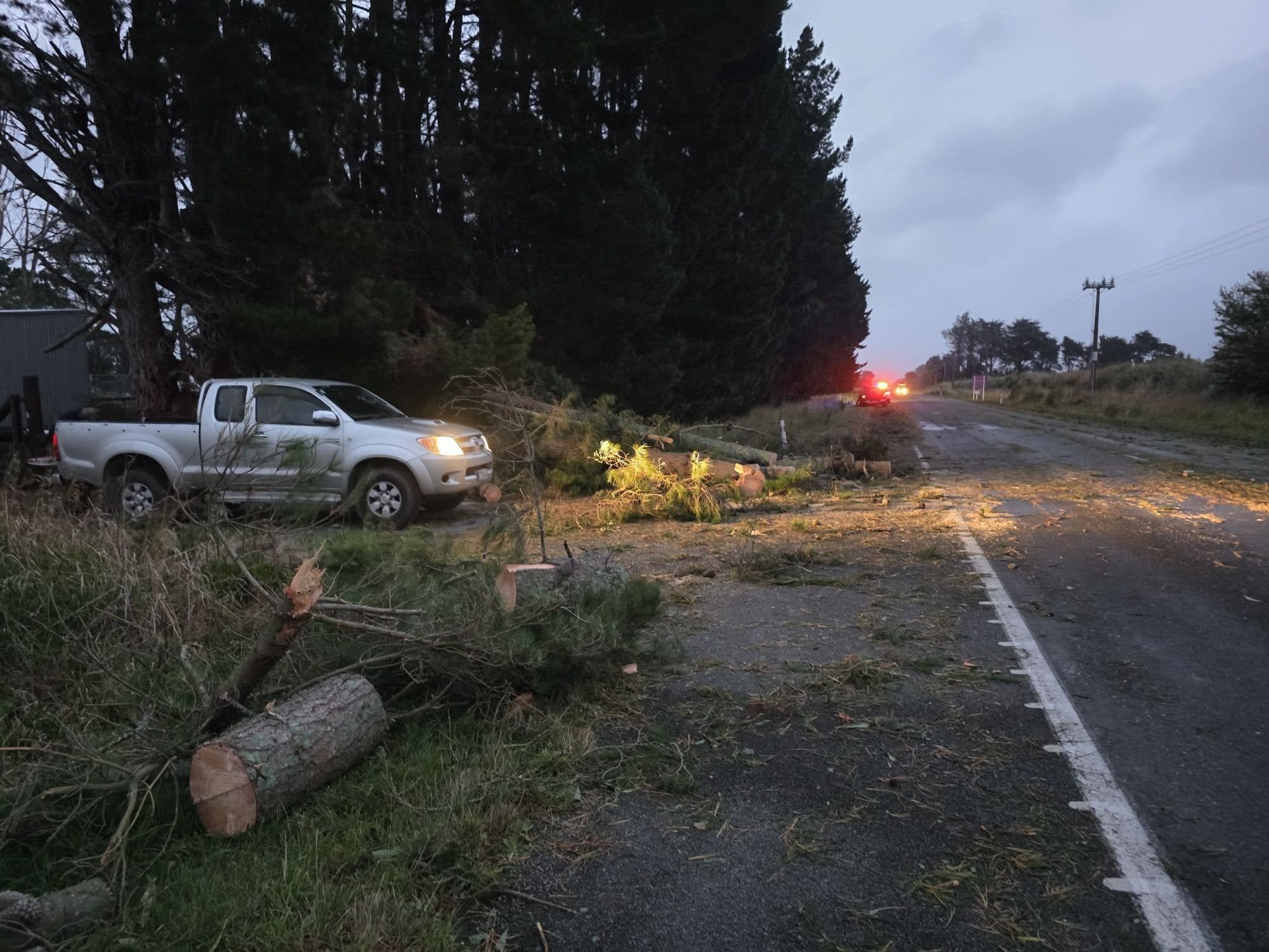 A mess! In either Himatangi or Foxton. Photo by LaDene Legg