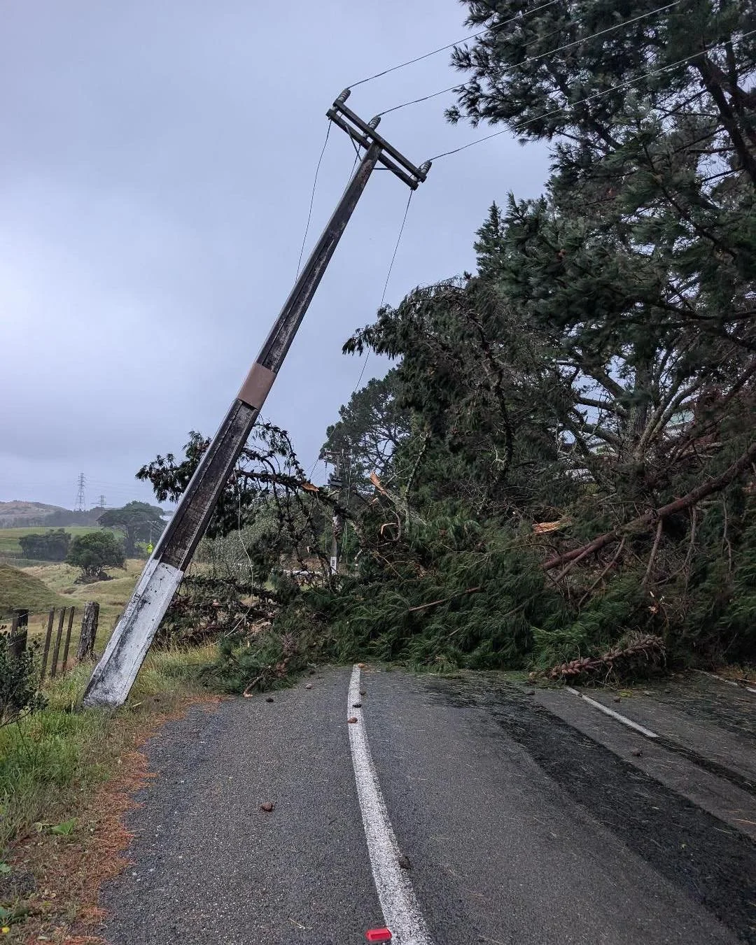 Power lines smashed by trees. Ohariu Valley Road, Wellington