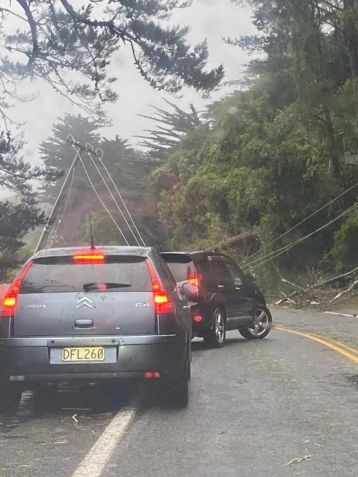 Power lines smashed by trees. Ohariu Valley Road, Wellington. Photo by Makra Simba