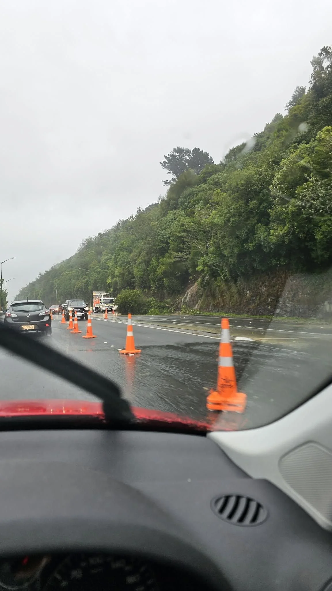 SH2 opposite Belmont Domain, Hutt Valley. Northbound was closed earlier this morning due to trees and flooding. It's now open again. Photo by Victor