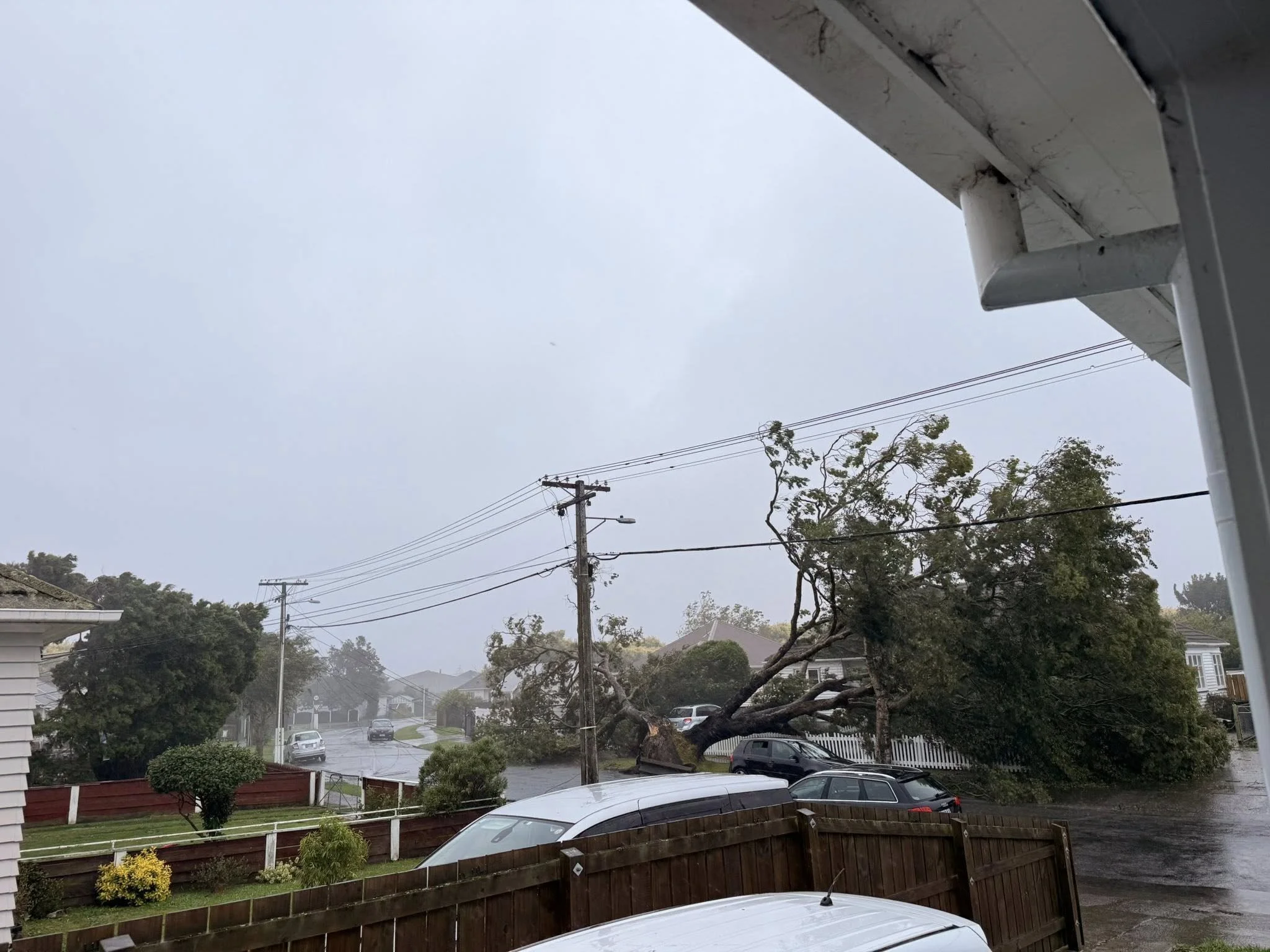 Pilcher Crescent end near Naenae Road, Lower Hutt. Photo by Harlem 