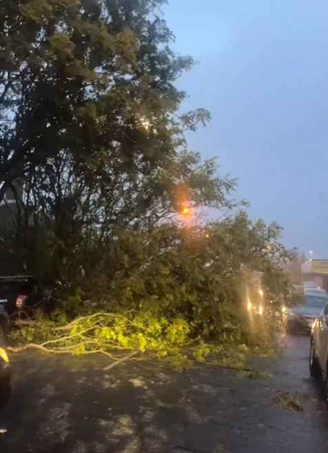 Park Ave, Epuni, Lower Hutt. Road blocked. Photo by Benjamin Johnson