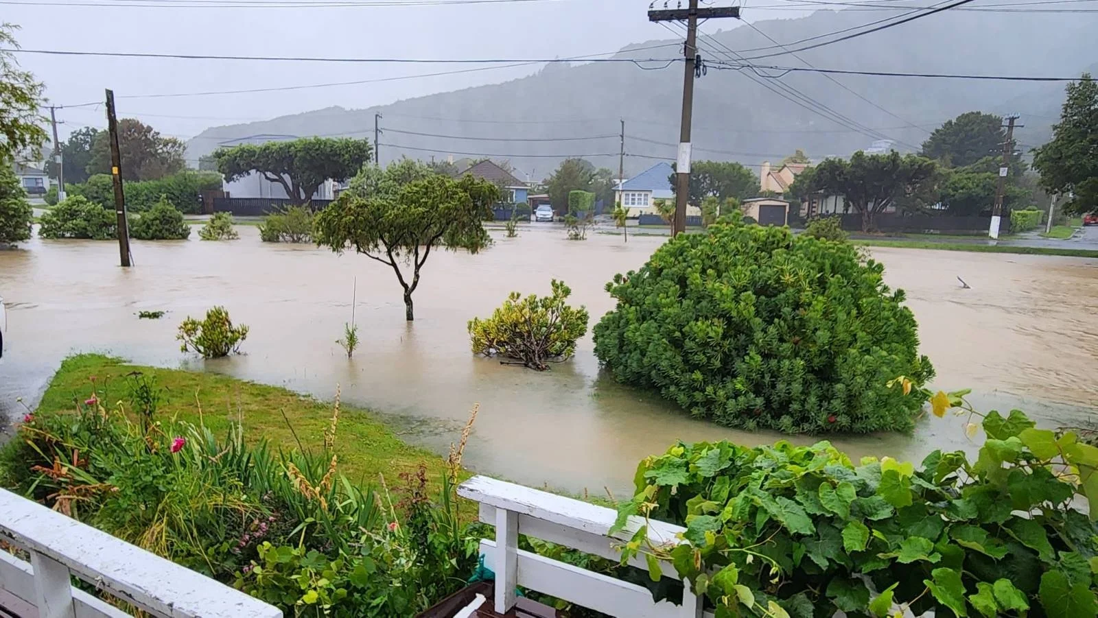Waiwhetu stream - Whites Line east end. Photo by Carla Lazenby