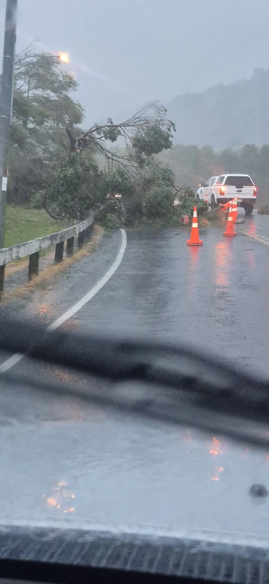 Harcourt Weary Drive, Lower Hutt. Photo by Antz Blanche