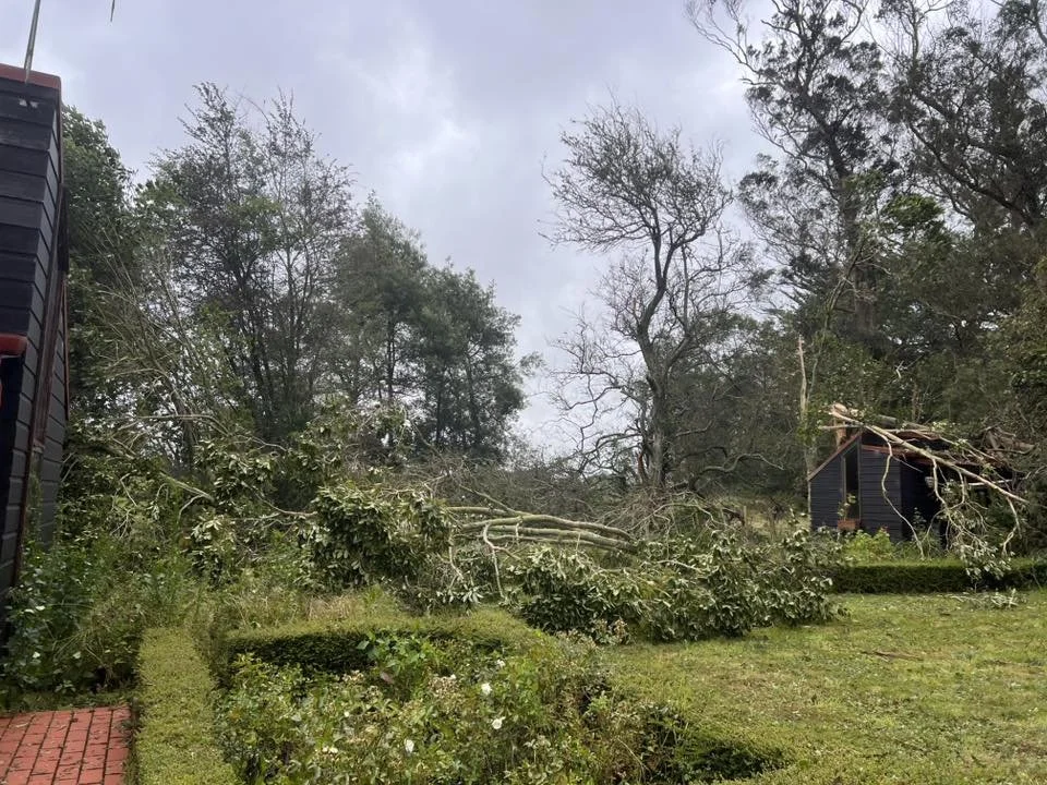 Amy's backyard in Marton