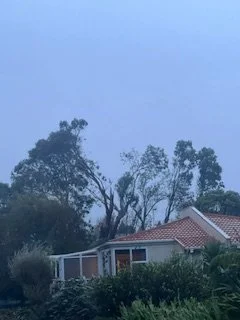 Langdale Ave, Paraparaumu. Photo by Andrew Robb