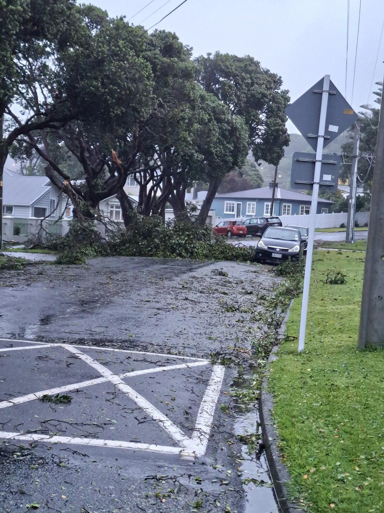 Beaumont Ave in Alicetown, Lower Hutt. Large parts of tree covering road. Photo by Liz Fauatea