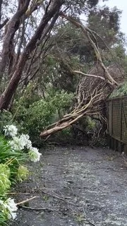 Langdale Ave, Paraparaumu. Photo by Andrew Robb