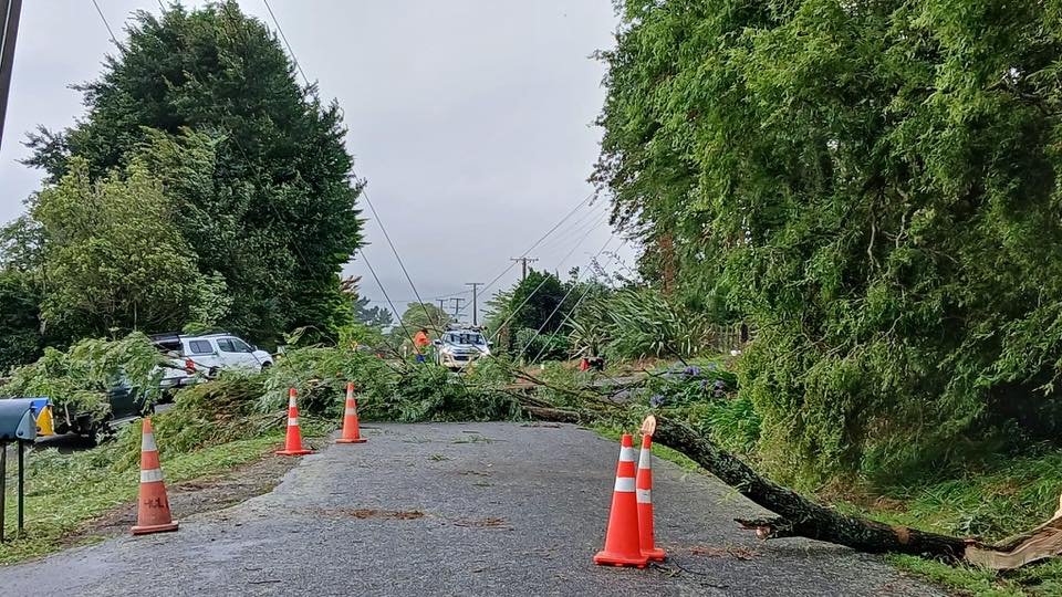 What an absolute mess. Props to the linesmen for sorting this out! Kukutauaki Road, end closest to Koputaroa Road, Levin. Photo by Faye Lougher