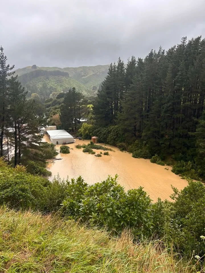 Through SH58 around Judgeford