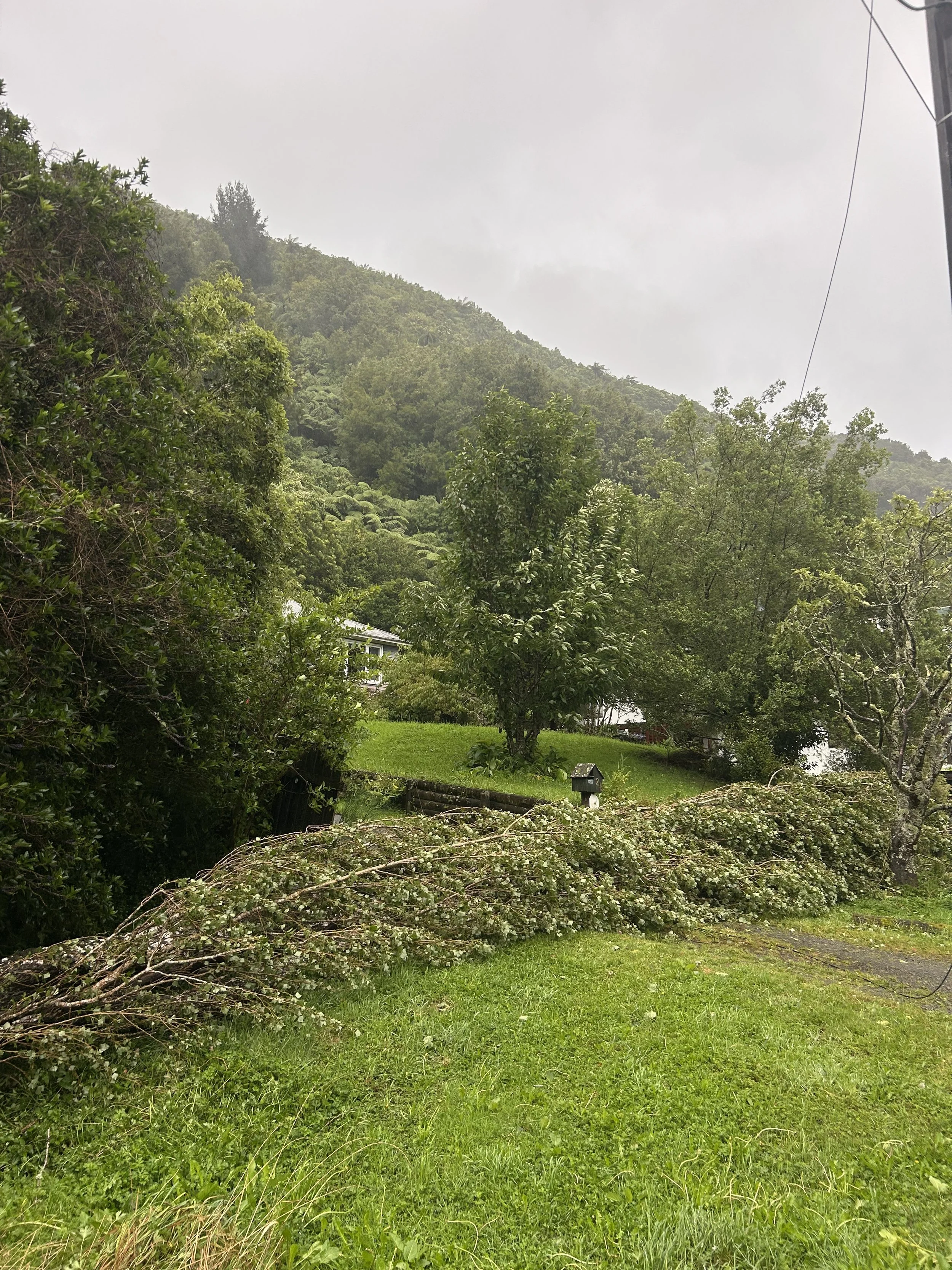 Bridge Road, Upper Hutt. Photo by Nat B
