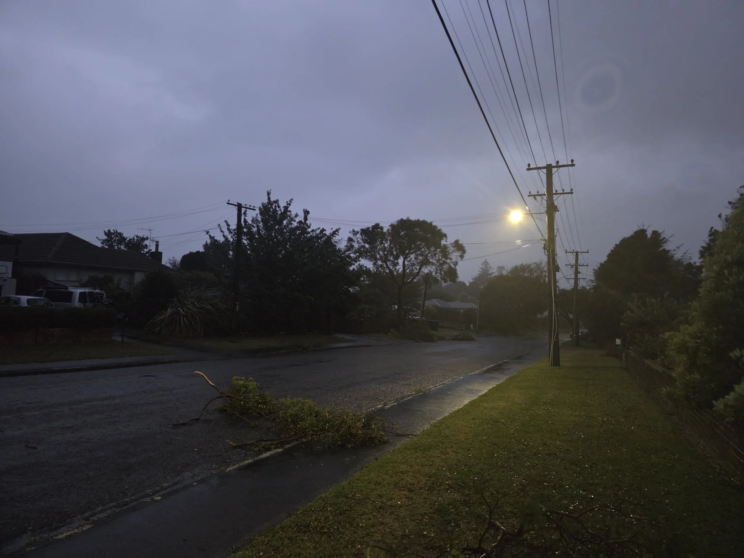 Alexander Rd, Raumati. Photo by Hamish Weir