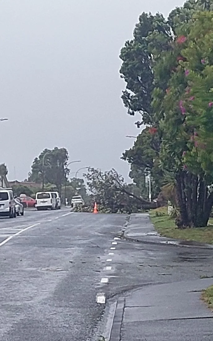 Mark Avenue in Grenada is partially blocked. Photo by David Roberts