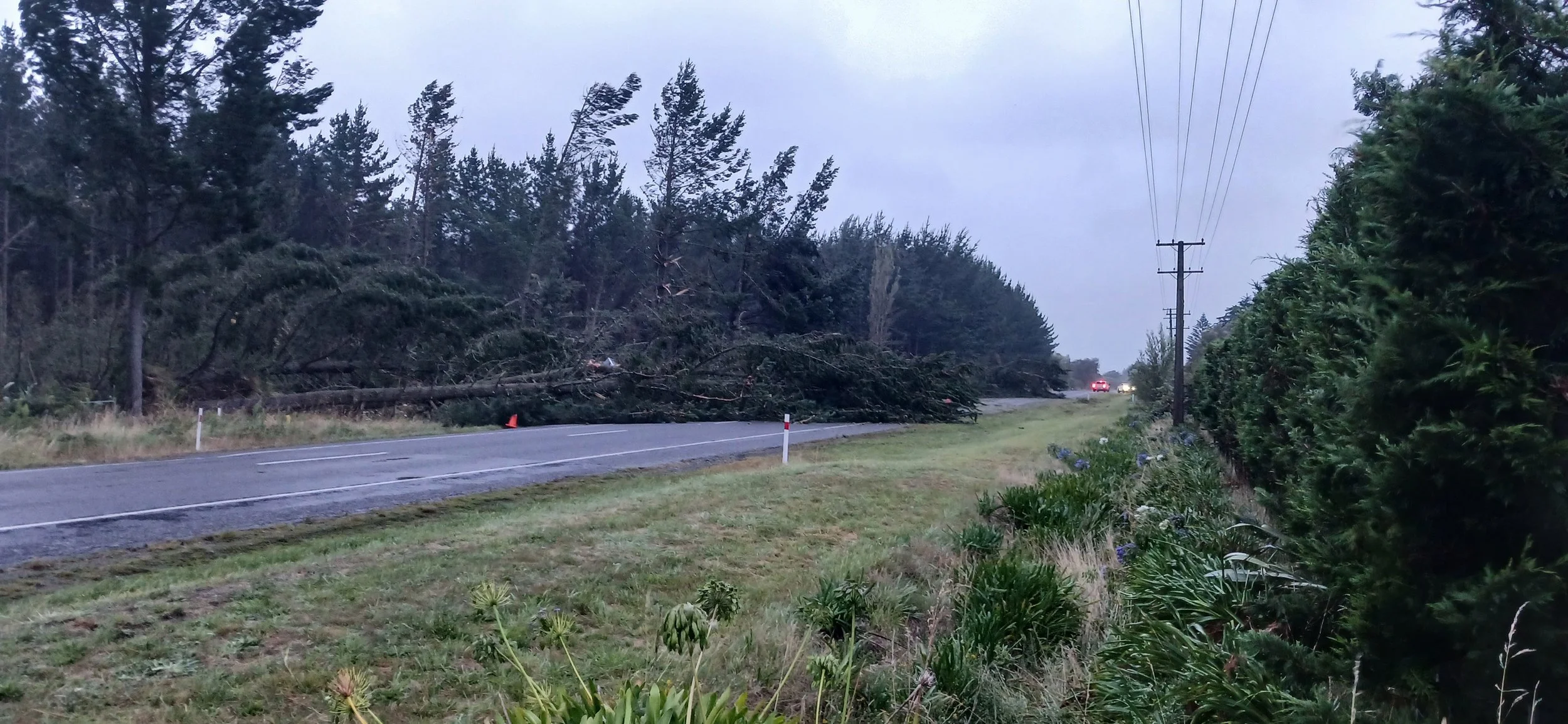 SH1 just north of Foxton - hence the road closure!