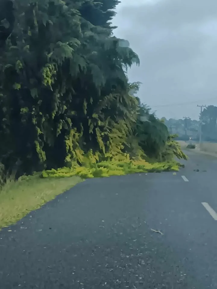 Taipo Road, Rongotea. Photo by Shah Willoughby